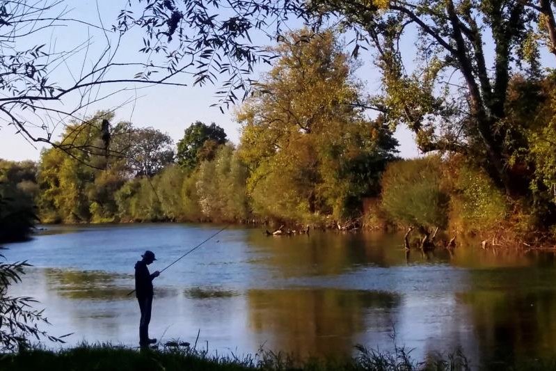 Ribič na reki Krki