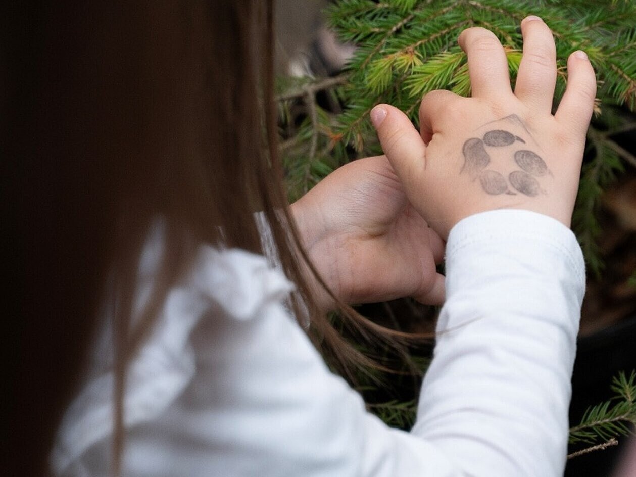 Dotik iglic, dotik do novih (spo)znanj (foto: Gregor Skoberne)