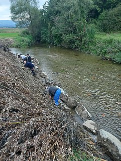 delavci polagajo vrbov poplet ob obrežju reke