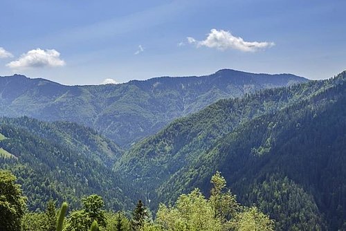 pogled na hribovito gozdno pokrajino