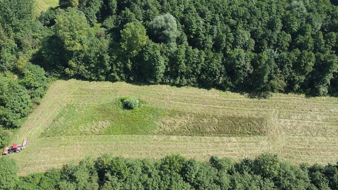 Posnetek iz zraka prikazuje puščen nepokošen rešilni otok za varovanje ptic, prednostno kosca (Crex crex) (foto: KGZS Zavod Ljubljana)