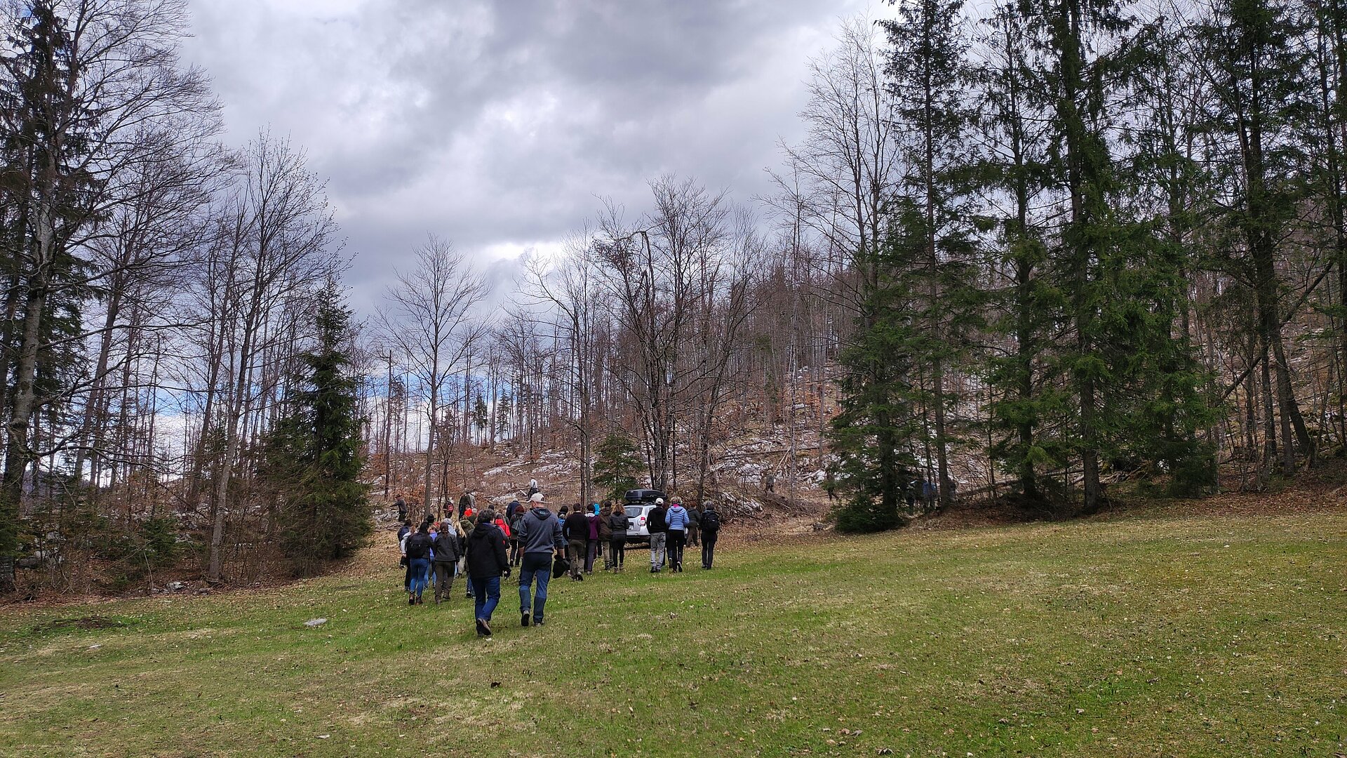 Izpust risa Lukaša v gorenjske gozdove, množica ljudi v gozdu proti obori risa (Foto: Vesna Petkovska, MNVP)