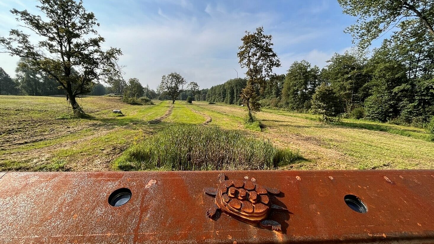 Pot med jelšami (Foto: Jasna Tarman, Krajinski park Ljubljansko barje)