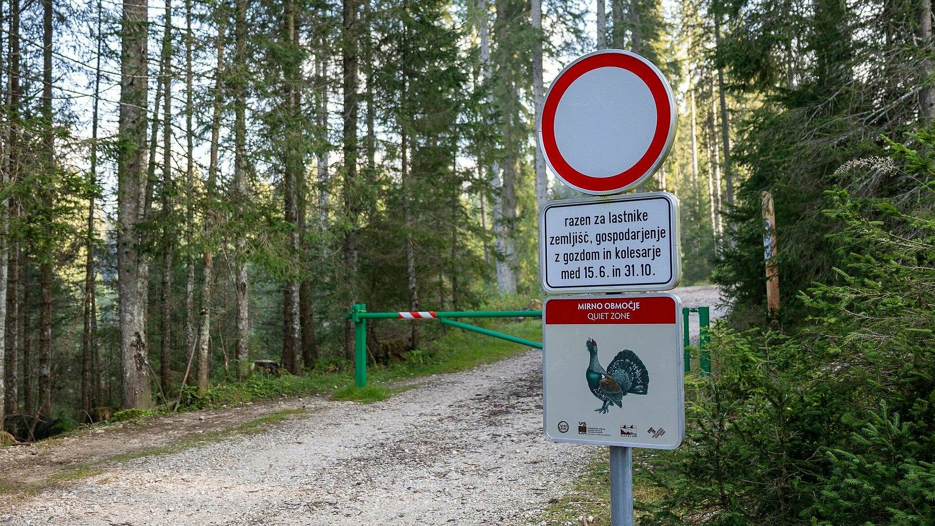 oznaka za mirna območja na Pokljuki