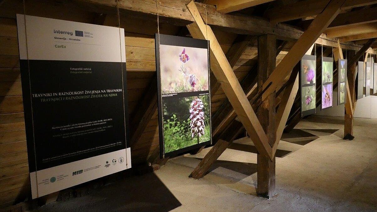Otvoritev razstave Travniki in raznolikost življenja na travnikih (foto: Ema Jevšnik)