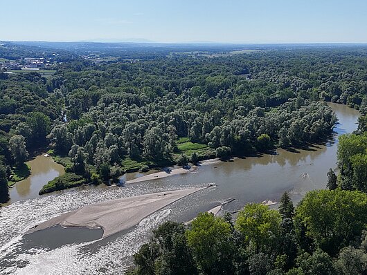 Mura (foto: arhiv Zavod RS za varstvo narave)