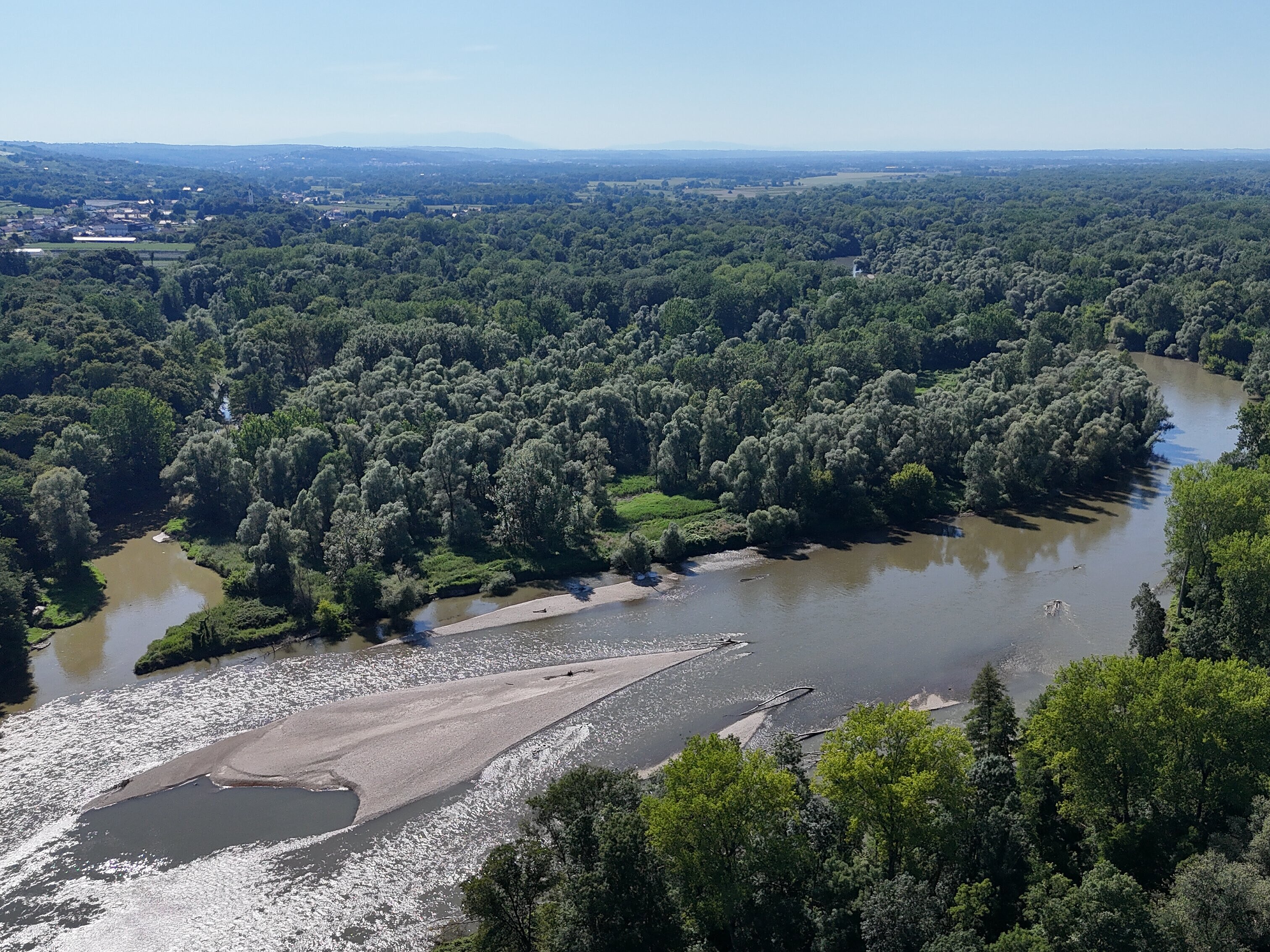Mura (foto: arhiv Zavod RS za varstvo narave)