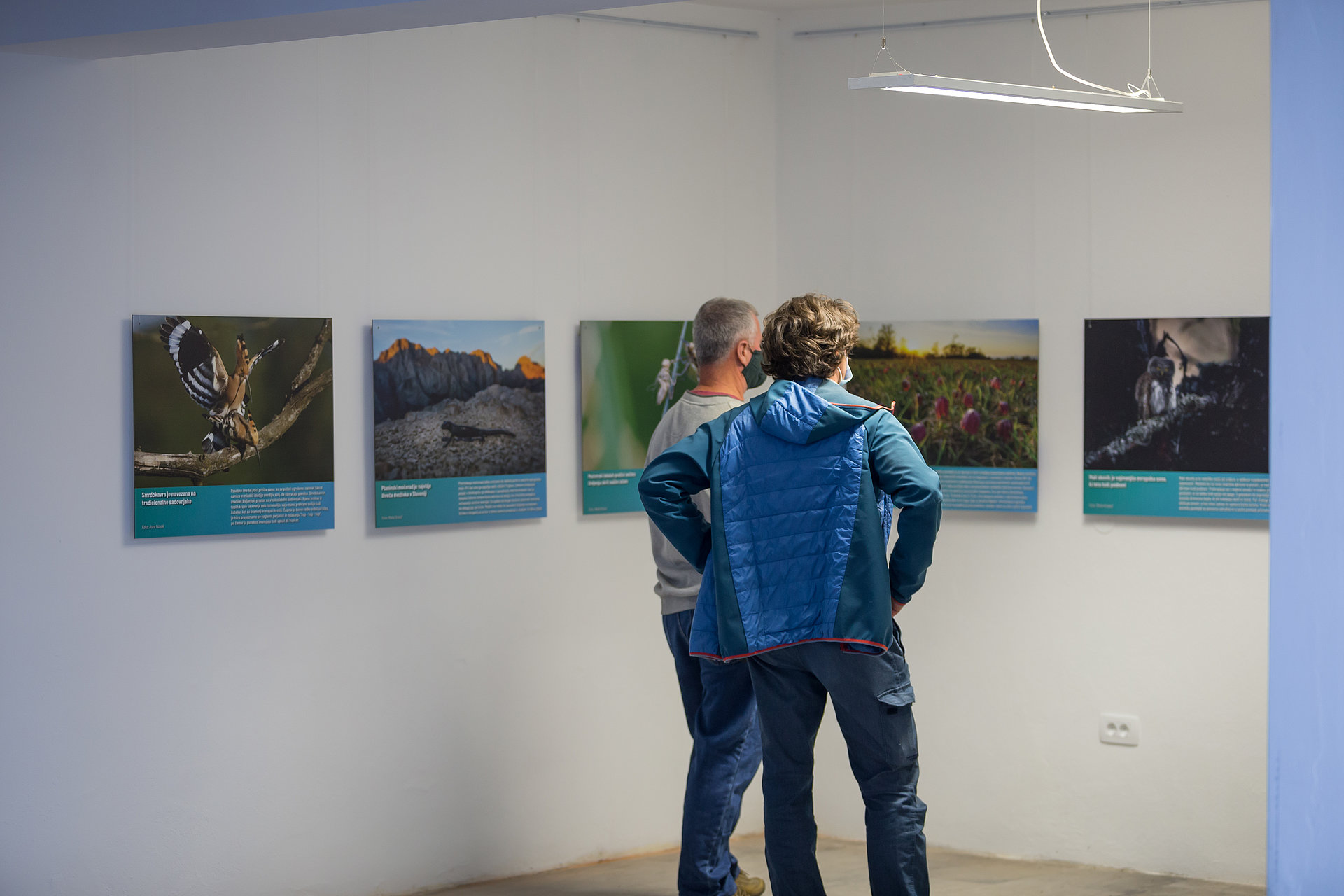 Razstava Natura 2000 in Divja Slovenija: Narava povezuje. (Foto: Nik Jarh)