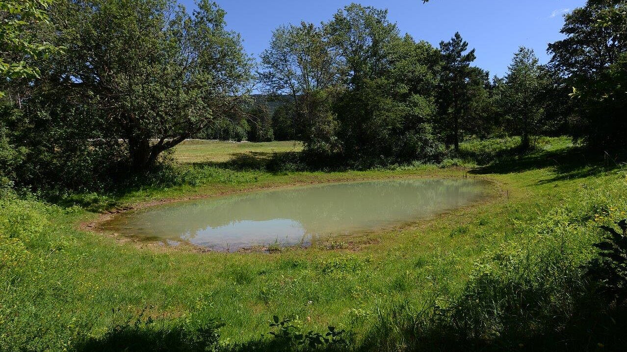 Obnovljen kal Mrzlek (foto: Borut Lozej, JZ Park Škocjanske jame)