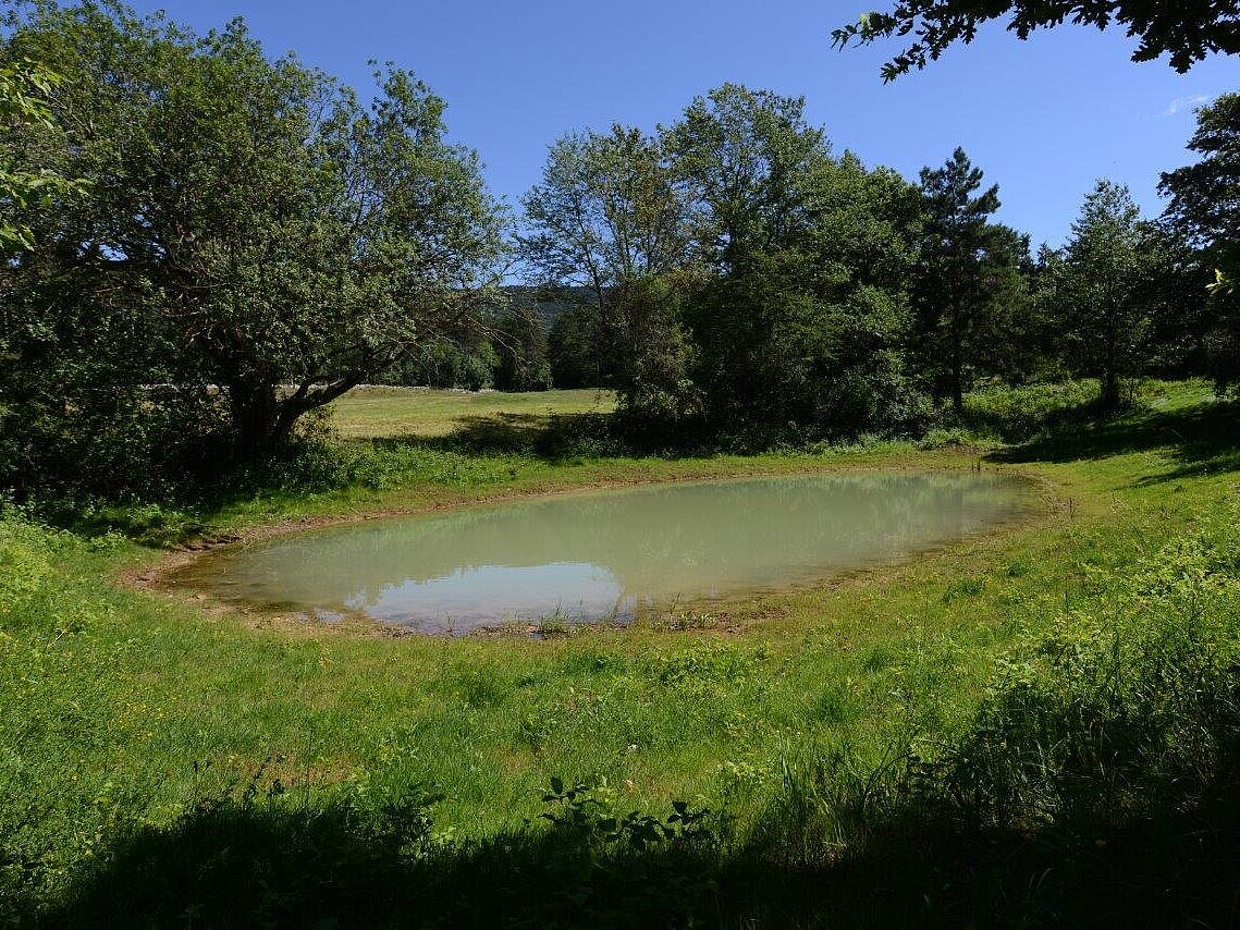 Obnovljen kal Mrzlek (foto: Borut Lozej, JZ Park Škocjanske jame)