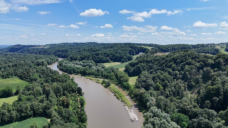 Zavod Republike Slovenije za varstvo narave: Obnova rečnih in obrečnih habitatov reke Mure v okviru projekta Natura Mura