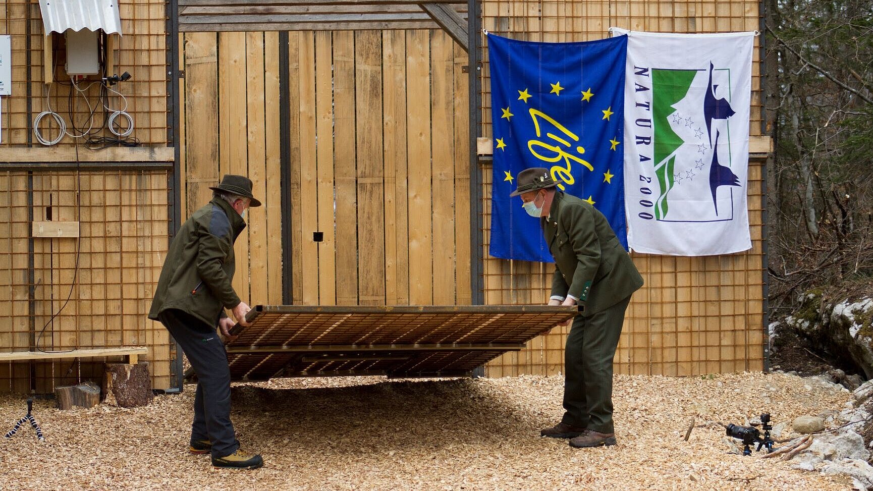 Lovci so izpustili risa v naravo (foto: Janez Tarman)