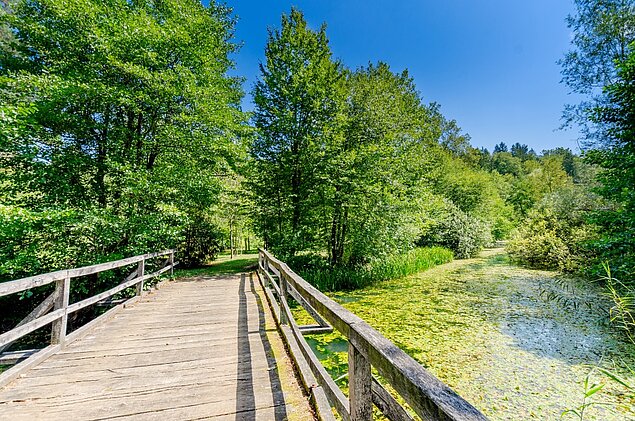 lesen most čez reko Lahinjo