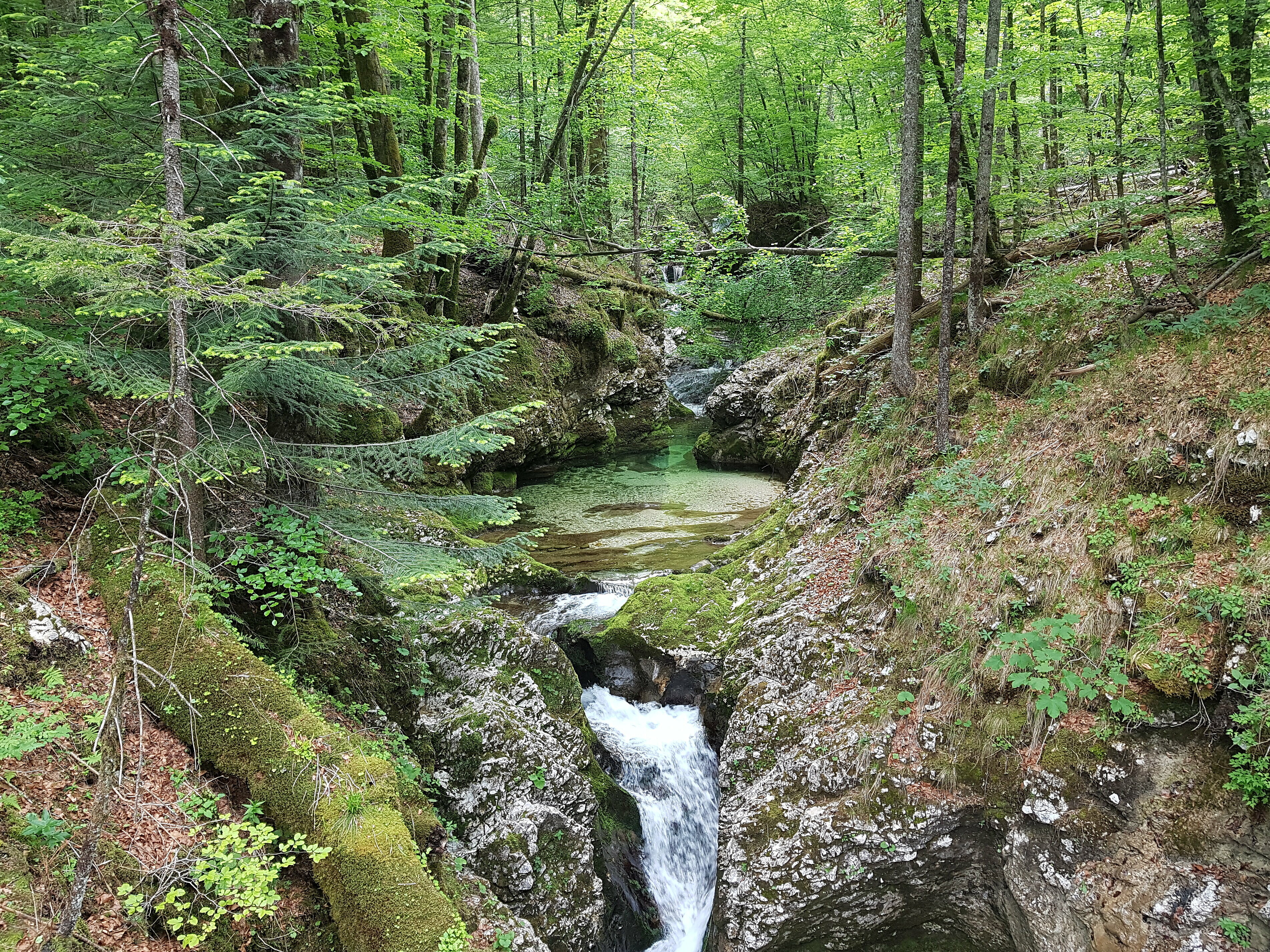 Triglavski narodni park (foto: Vesna Petkovska)