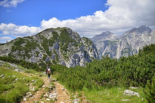 Pogled na Julijske Alpe s Pokljuke