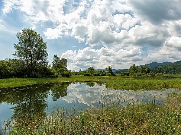 fotografija poplavljenega travnika na Cerkniškem jezeru