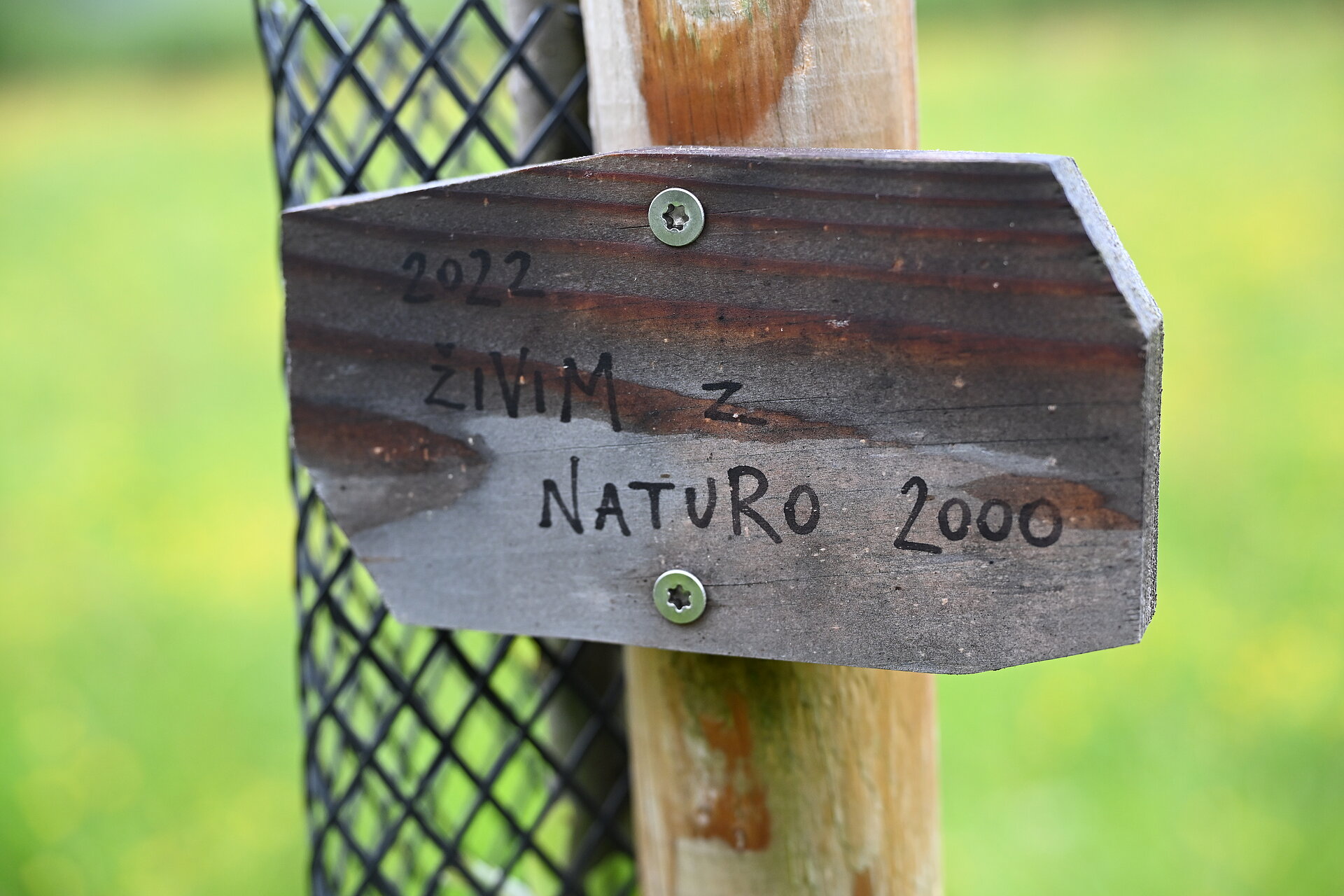 napis na drevesu Natura 2000 v Kozjanskem parku