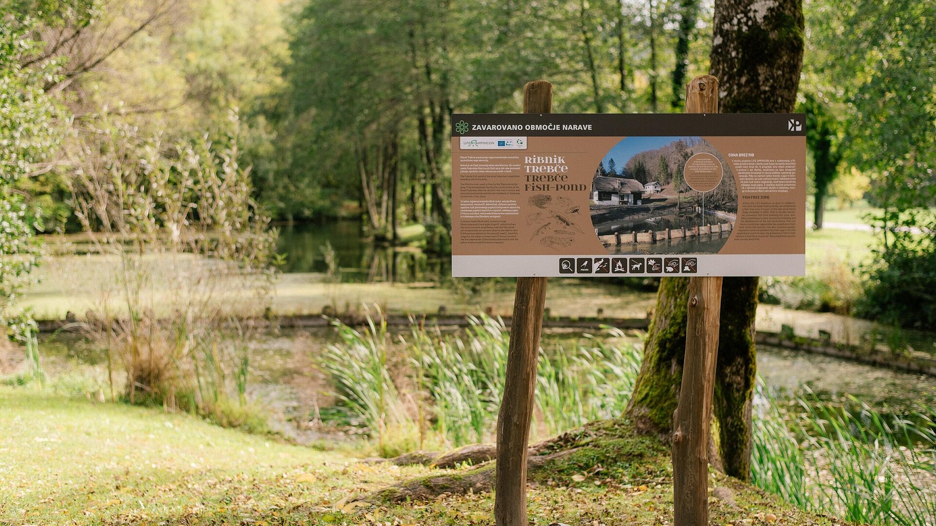 Žabja domačija - učna pot ob ribniku Trebče (foto: Mojca Valenčak)
