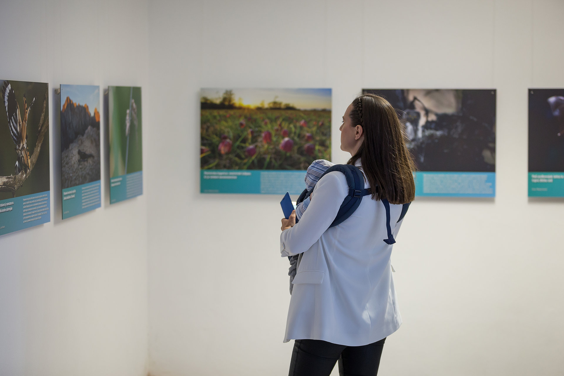 Razstava Natura 2000 in Divja Slovenija: Narava povezuje. (Foto: Nik Jarh)