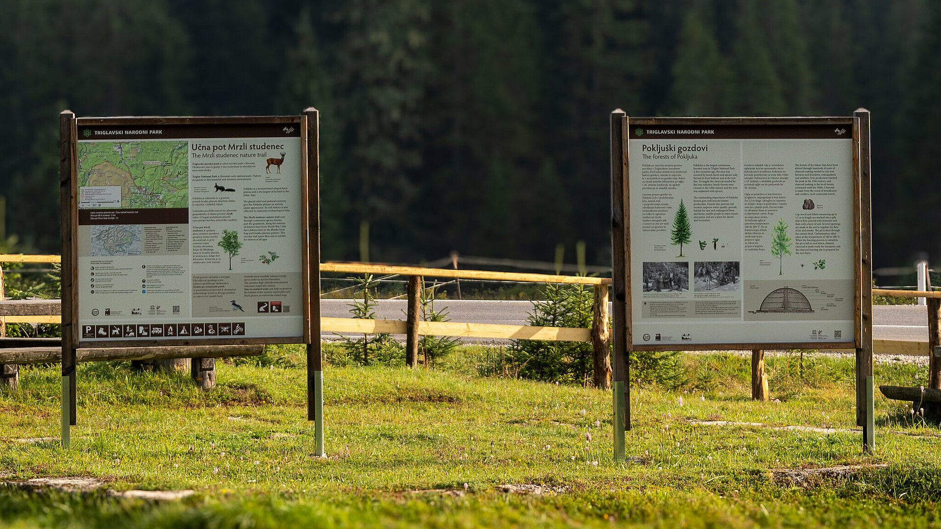 nove table, ki označujejo učno pot Mrzli studenec in Pokljuški gozdovi