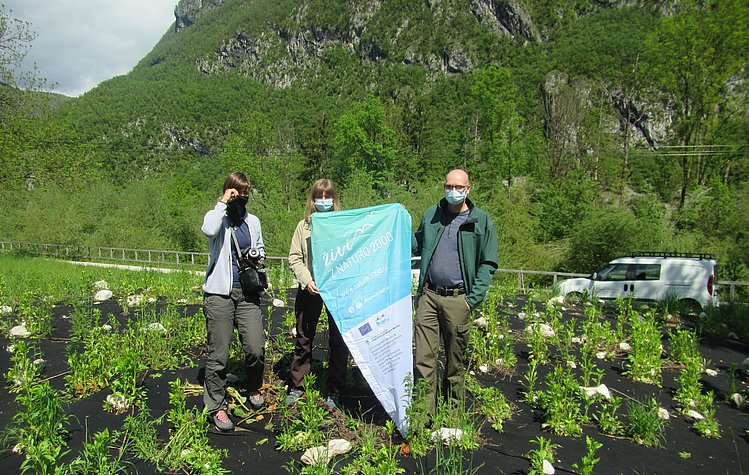 Prisotni na ogledu (foto: I.Kavčič)