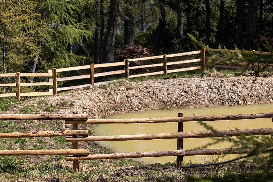 Javni zavod Triglavski narodni park: Sodelovanje z organizacijami in lastniki zemljišč pri obnovi kalov v projektu VrH Julijcev