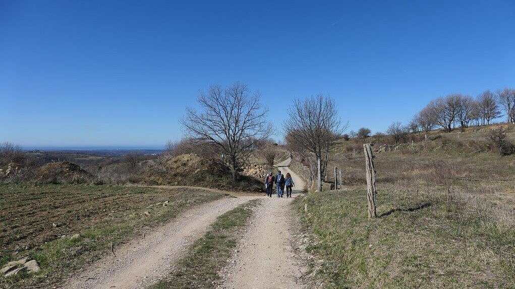 Nadzorni obisk projekta LIFE-IP NATURA.SI - ogled izvedenih ukrepov na pilotnem območju Slovenska Istra (foto: arhiv projekta LIFE-IP NATURA.SI)