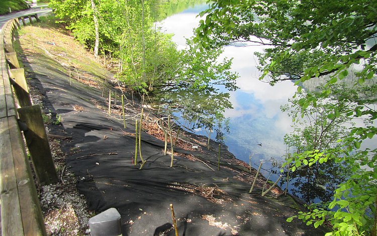 Prekrita brežina Bohinjskega jezera (foto: I.Kavčič)