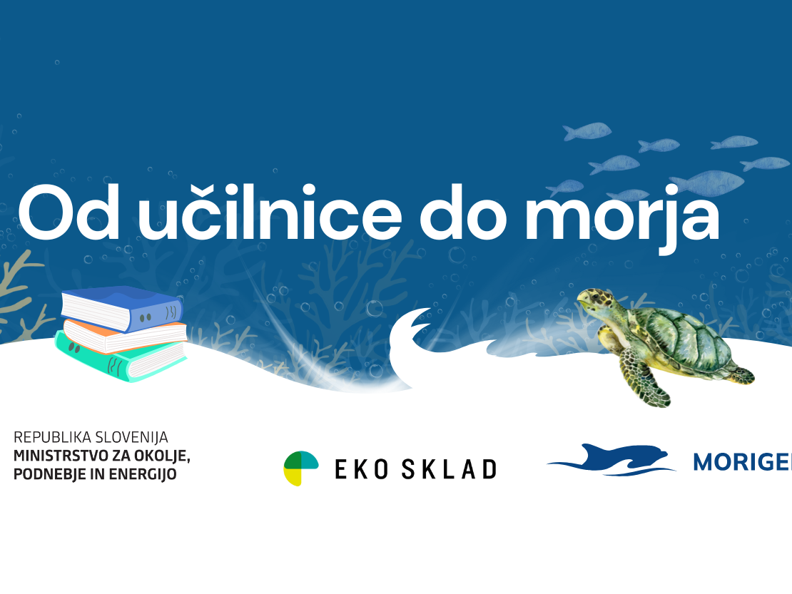 Od učilnice do morja: nova interaktivna e-učilnica odpira vrata v svet morja