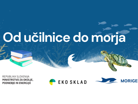 Od učilnice do morja: nova interaktivna e-učilnica odpira vrata v svet morja