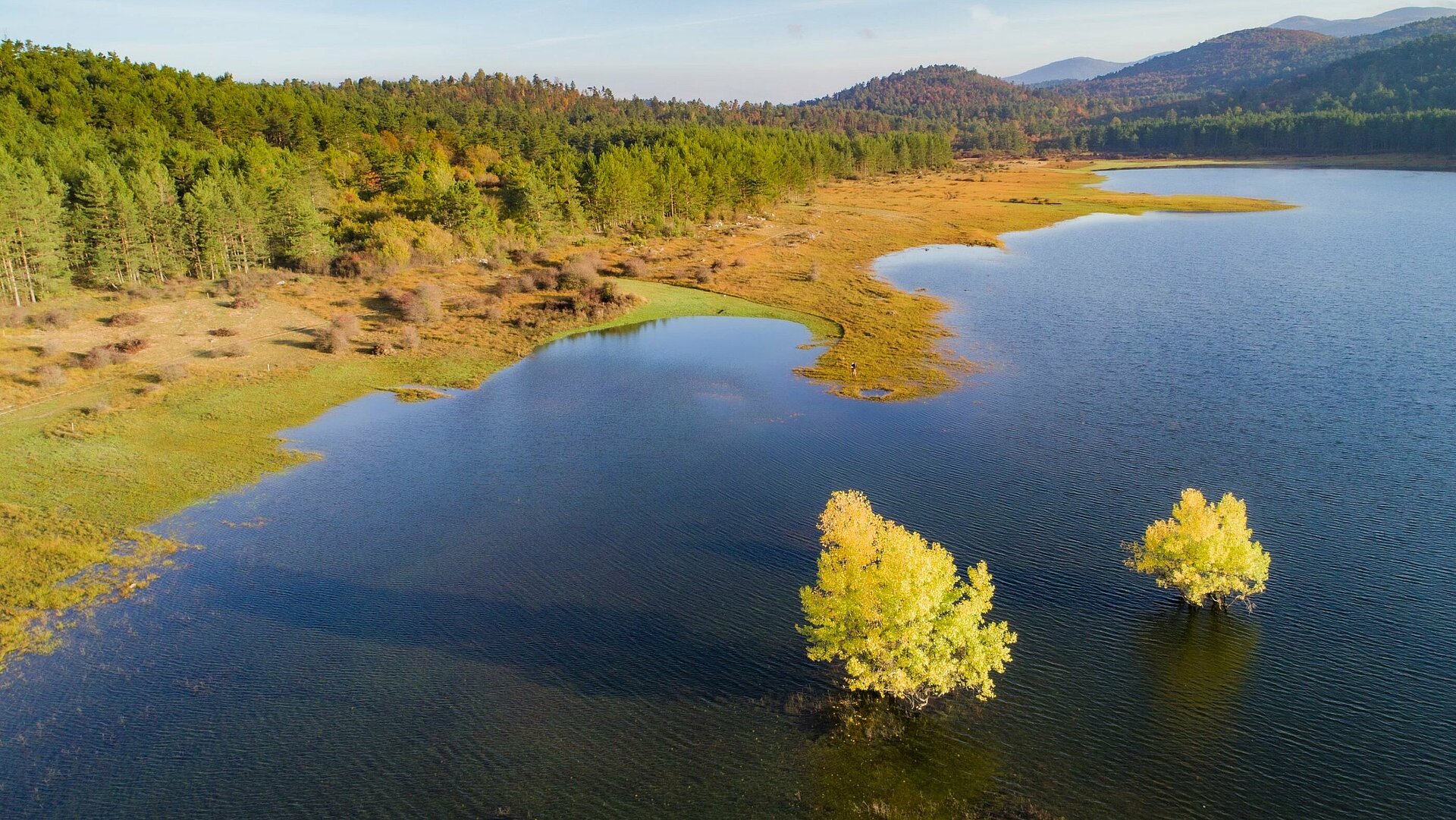 jezero in jesenski gozd