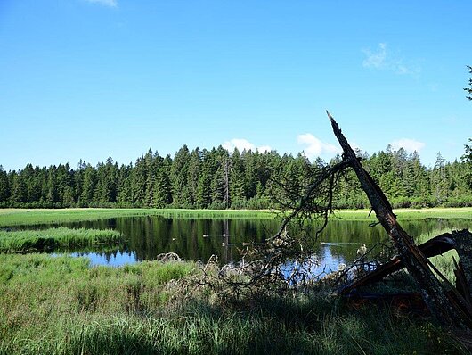 Črno jezero na Pohorju (foto: Leon Lojze Zamuda)
