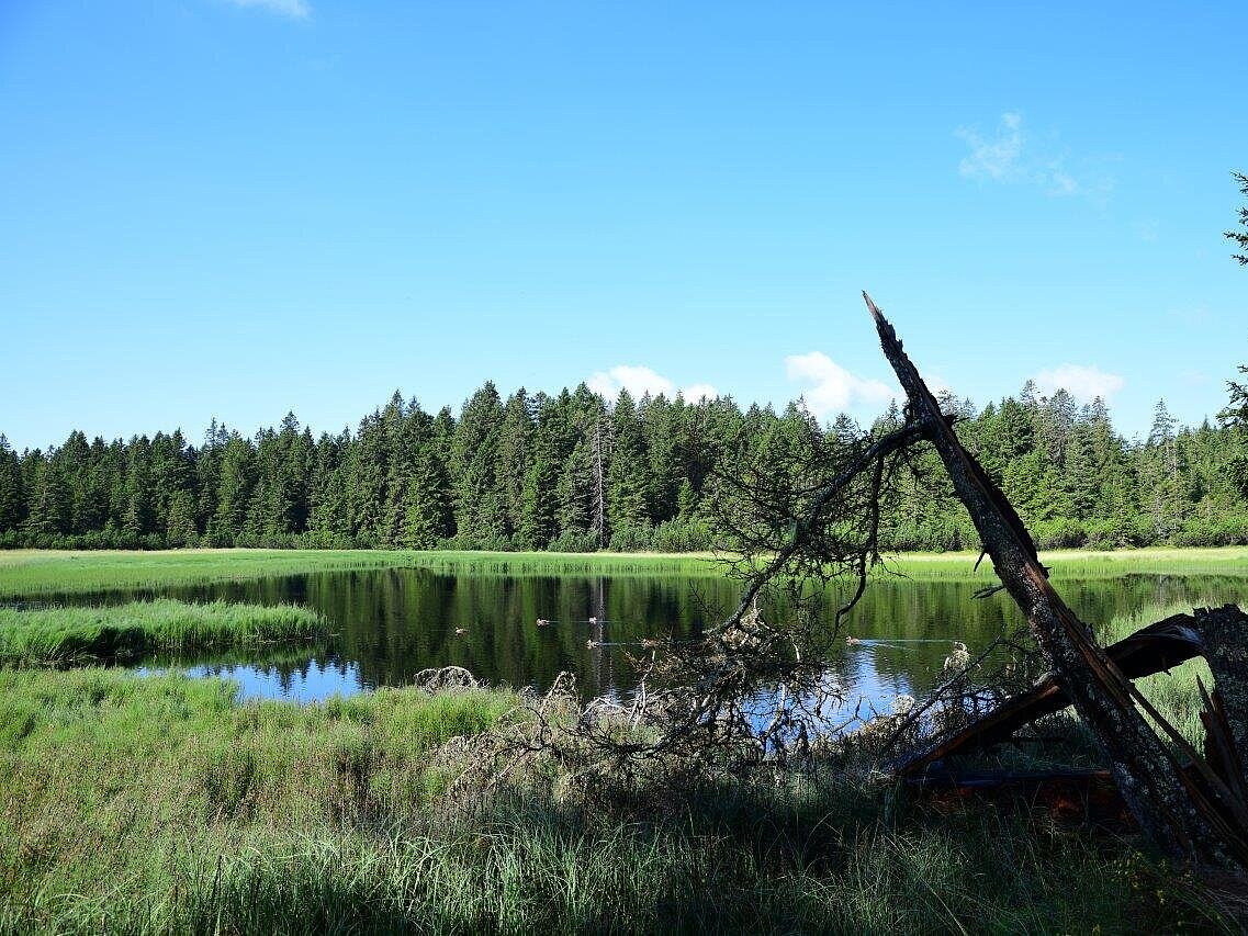 Črno jezero na Pohorju (foto: Leon Lojze Zamuda)