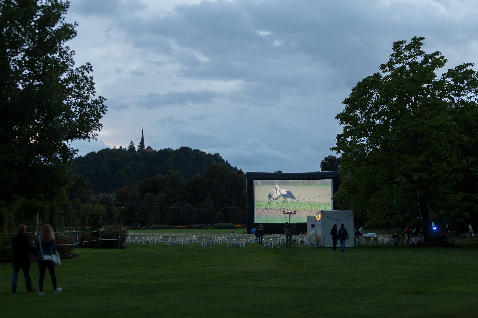 Premiera filma Divja Slovenija. (Foto: Nik Jarh)