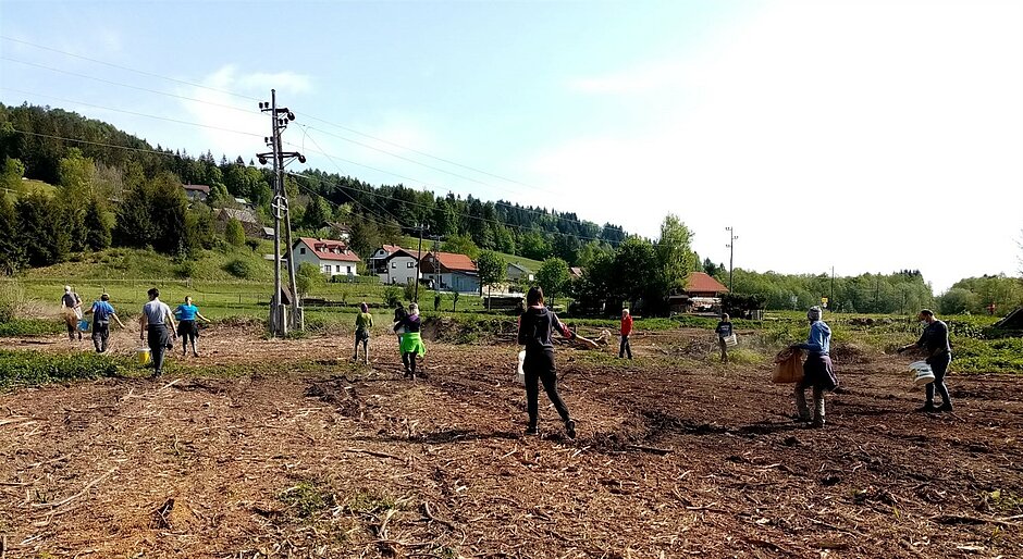 Zavod Republike Slovenije za varstvo narave: Zavod PARNAS – protagonist sodelovanja za ohranjanje biodiverzitete in trajnostni razvoj na območju Natura 2000 Mišja dolina