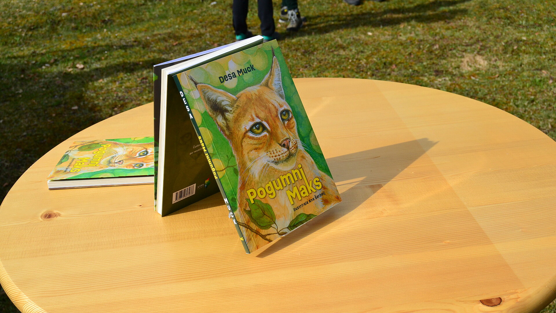 Pogumni Maks, nova knjiga o risu avtorice Dese Muck, knjiga na mizici (Foto: Vesna Petkovska, MNVP)