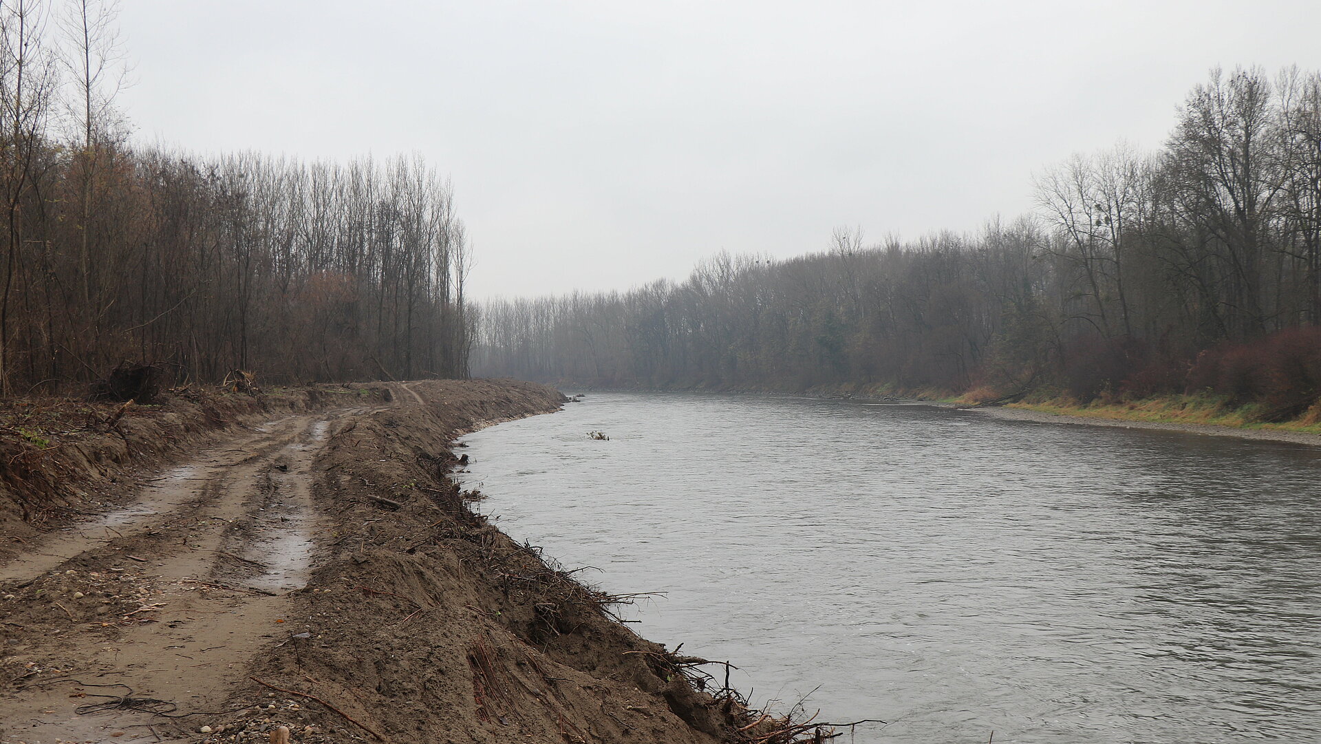 Terenski ogled izvedenih sonaravnih ureditev na Dravi in Muri (Foto: Direkcija RS za vode)