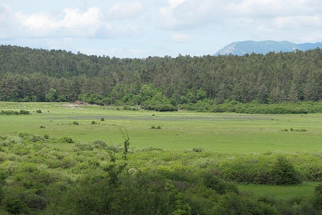 Travniki v zaraščanju ob jezeru (foto: arhiv projekta LIFE-IP NATURA.SI)