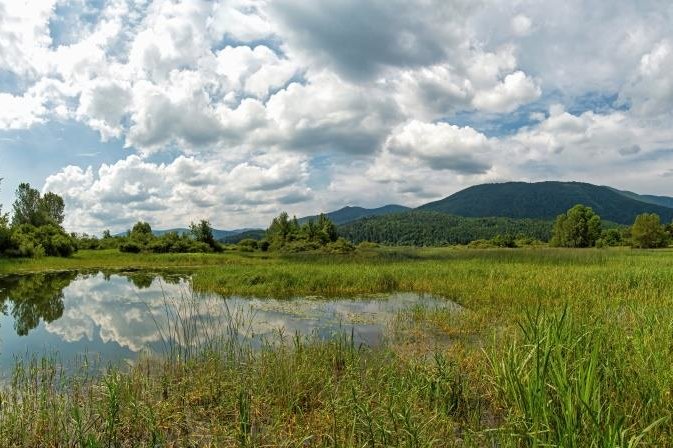 travnik na Cerkniškem jezeru