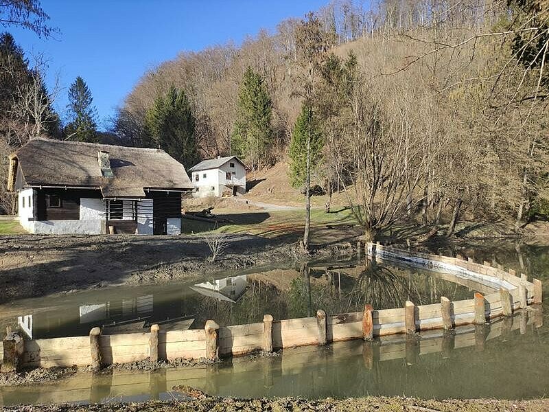 Žabja domačija in ribnik v Trebčh