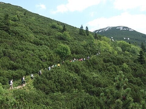 Pohodniki hodijo na Snežnik