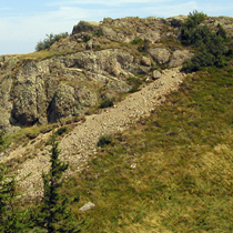 Silikatna skalnata pobočja z vegetacijo skalnih razpok