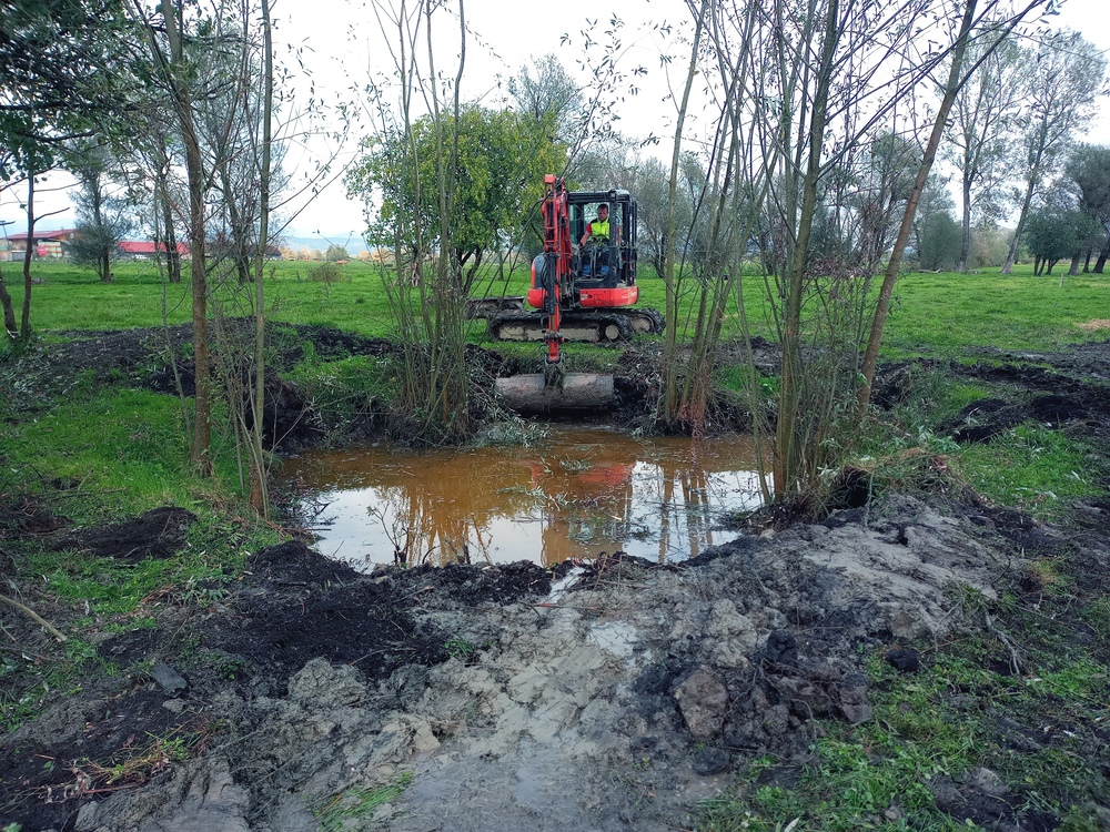 Obnova zaraščene mlake (foto: Tina Porenta)