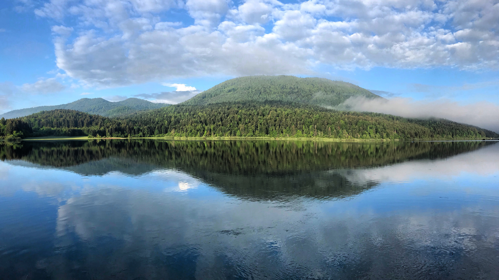 Cerkniško jezero s hribi, poraščenimi z gozdom, v ozadju